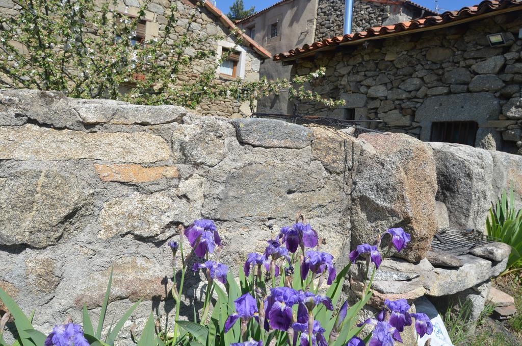 Casa Rural Almanzor Navarredonda de Gredos Dış mekan fotoğraf